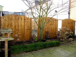 Tuin - AK bouw en tuin